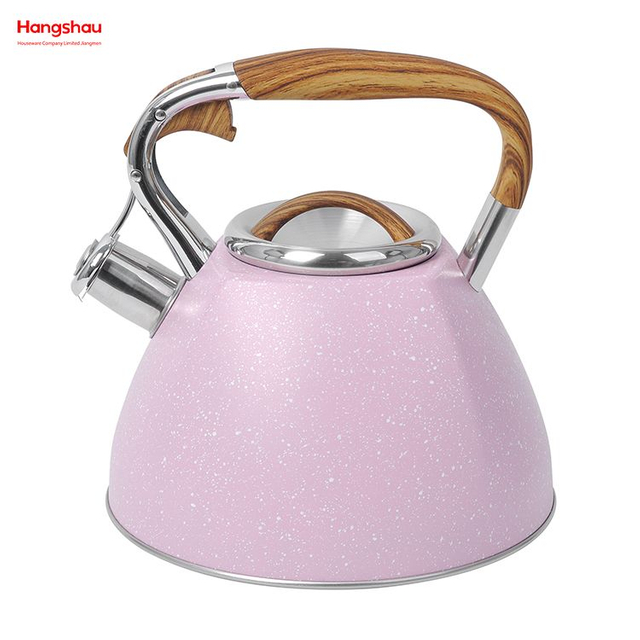 Wasser Kaffee Edelstahl Pfeifen Tee Wasserkocher Heizung Wasserkocher Großhandel Custom Arabisch Camping Hotel Herd Top Gießen Über Topf 