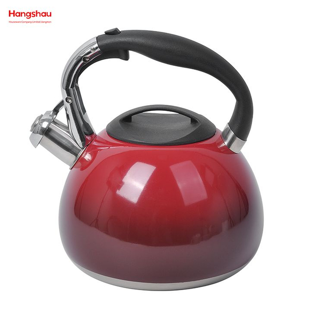 Teekessel, Pfeifkessel für Zuhause, Malerei, Heißwasser-Teekanne, Edelstahl-Wasserkocher 