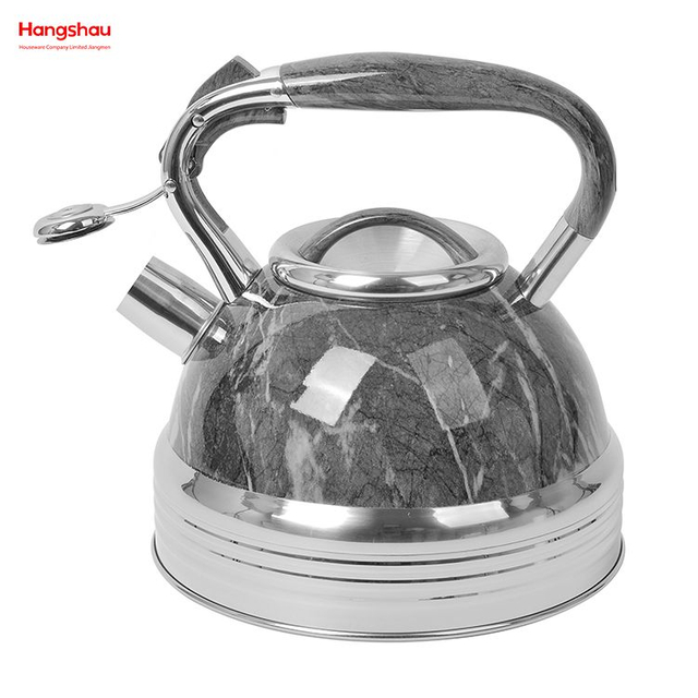 Edelstahl-Wasserkocher, Teekessel, Pfeifkessel für Zuhause, Malerei, Heißwasser-Teekanne 